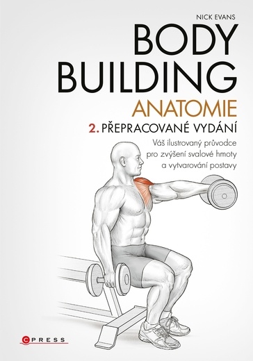 Bodybuilding - anatomie - Evans Nick