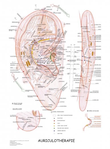 Aurikuloterapie - plakát