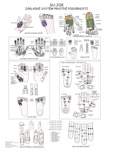 Su-jok systém prvotní podobnosti - plakát