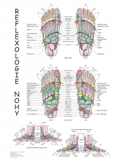 Reflexologie nohy - plakát