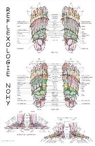 Reflexologie nohy - plakát